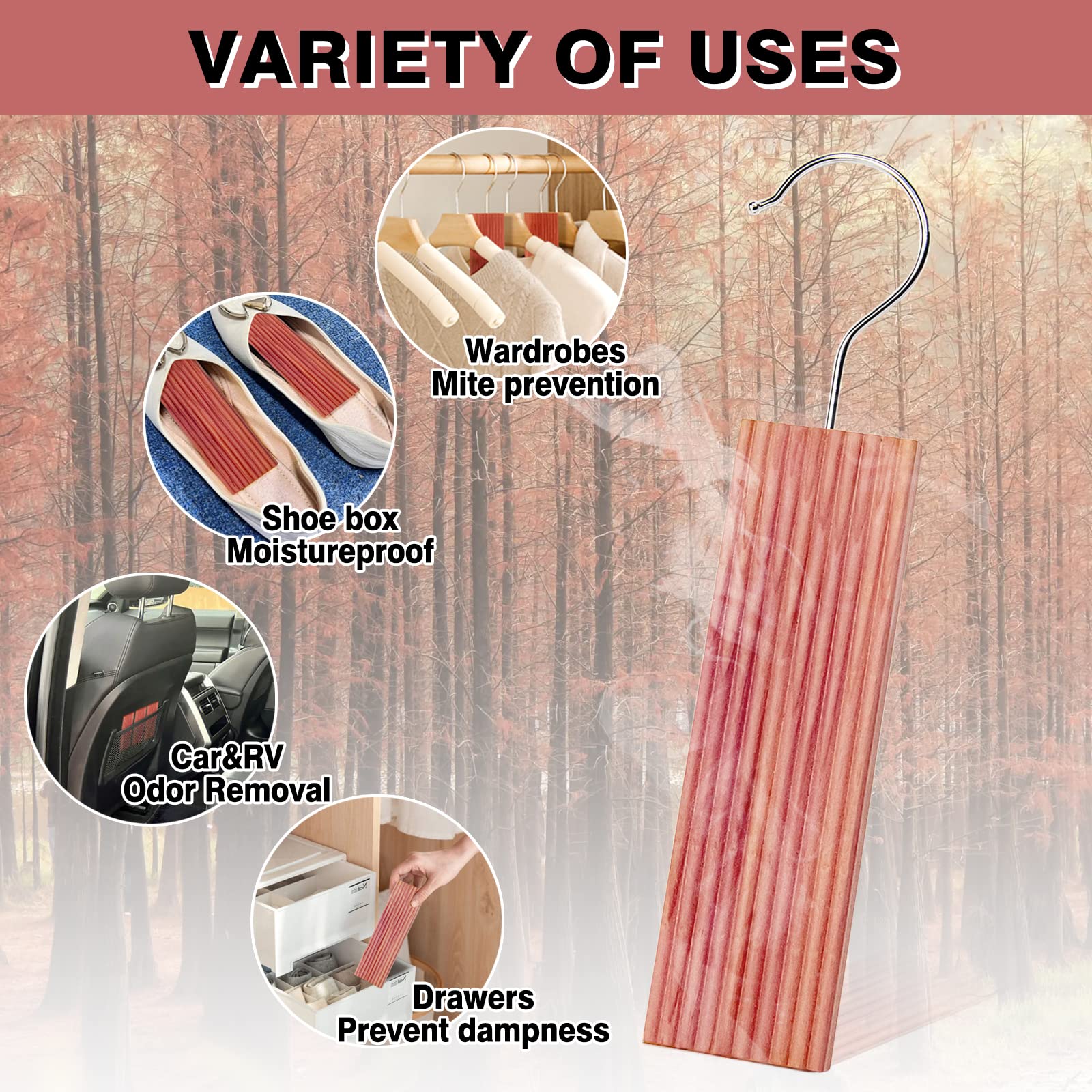 Which Type of Wood Is Best for Wardrobe?